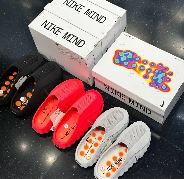 圖片來源：網路