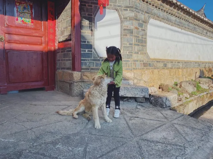 雲南束河古鎮的小女孩與狗狗橘子