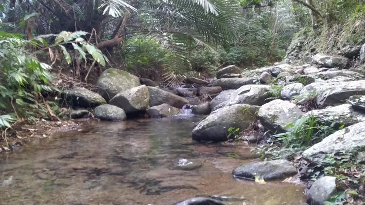 水很乾淨，但都沒看到魚