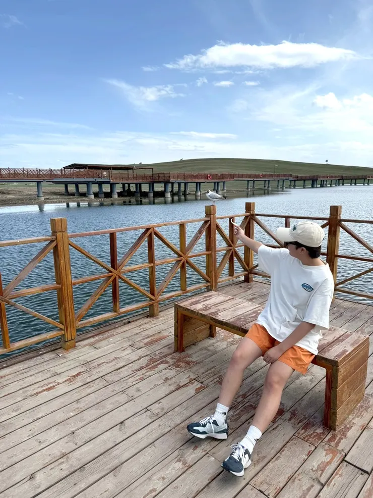 拿麵包餵食鳥兒很有趣