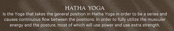 圖片：來自官方手冊的截圖