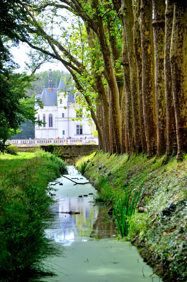 【梧桐道旁側的小水渠,反映著城堡倒影,此時我們左轉進一條小路去迷宮。】