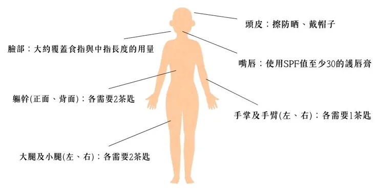 身體各個部位的防曬乳用量