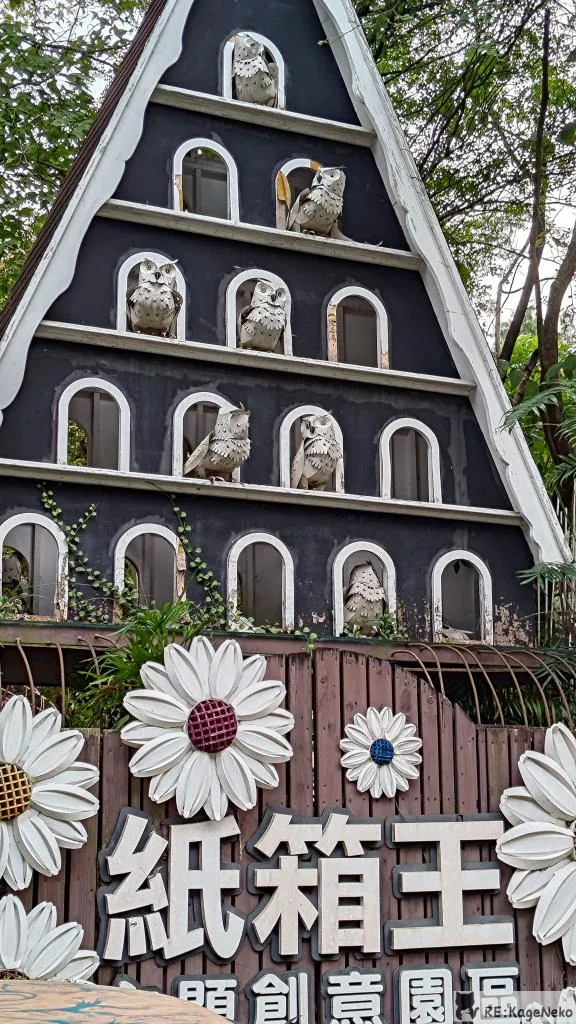 紙箱王貓頭鷹