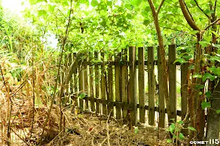 爬上山丘之後所見的柵欄，可能是高速公路時期的產物