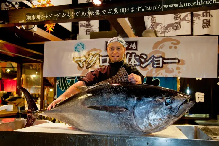 圖片來源：和歌山県公式観光サイト