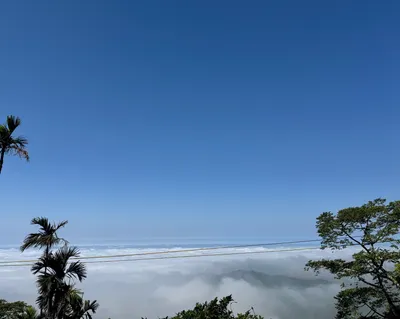 Hsuan的生活記事