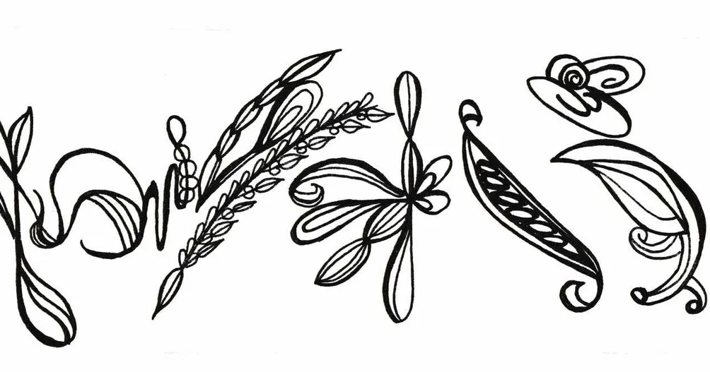 土瓶鯨｜J。Whale