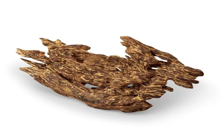 圖片來自Pinterest