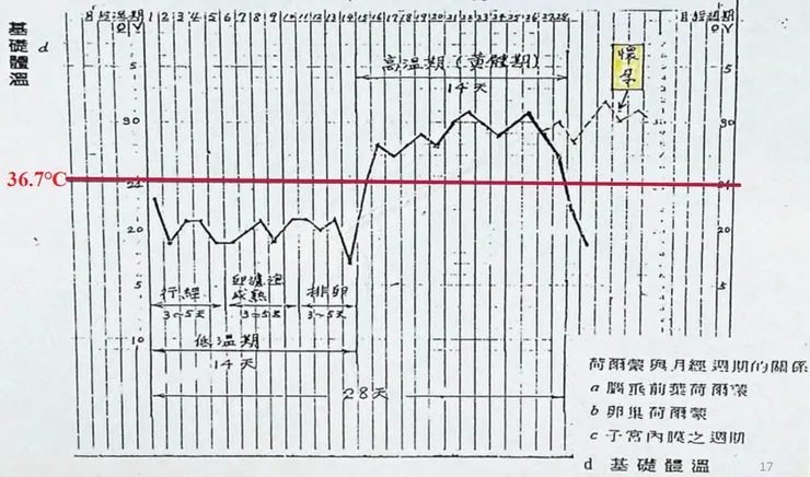 本圖片擷取自 曾承軒 醫師 上課講義