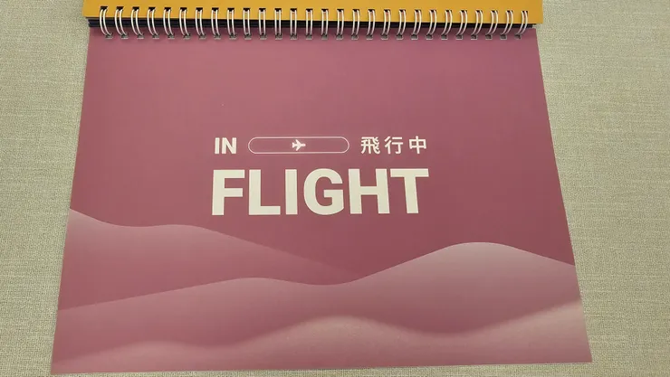 這是飛行中頁面!