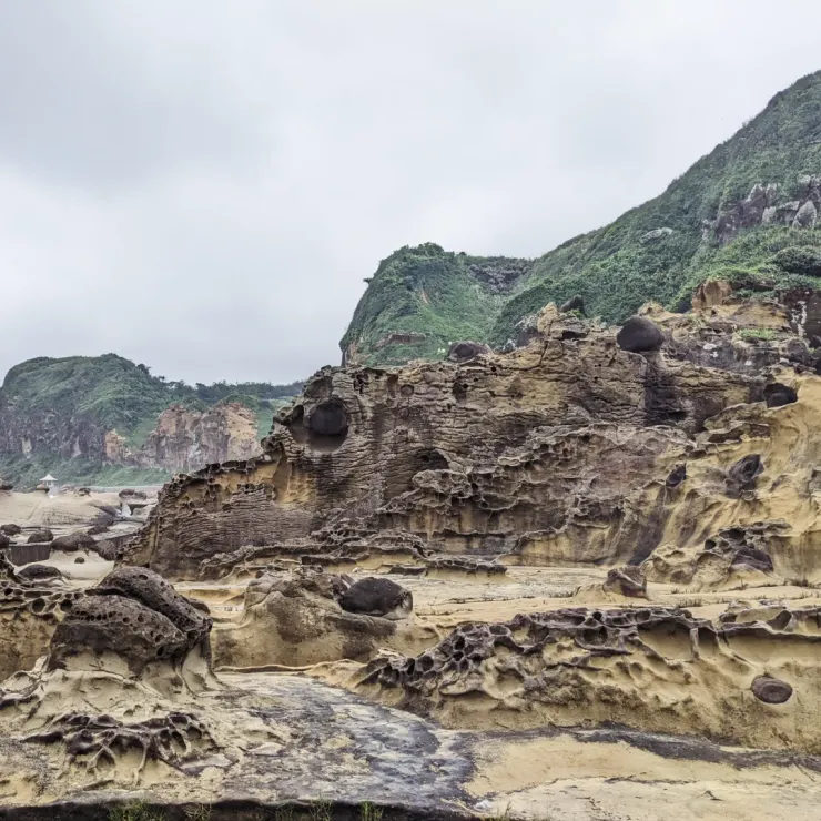 鱷魚岩，凹進去的眼睛下方因海水退去形成氧化的痕跡，像極了鱷魚流下眼淚