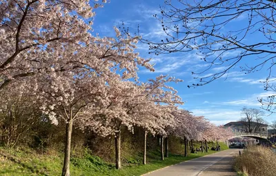 隨遇而安的沙龍