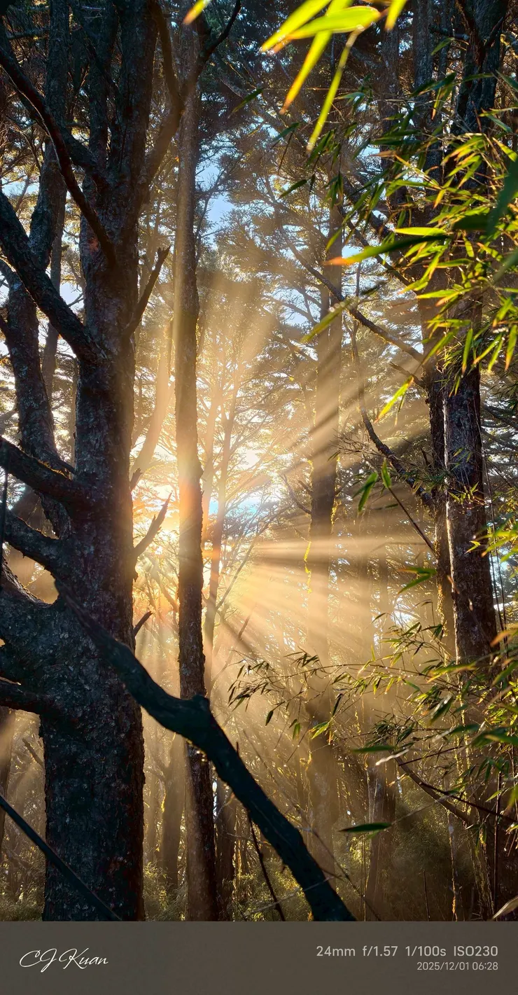 當光明撒入黑暗