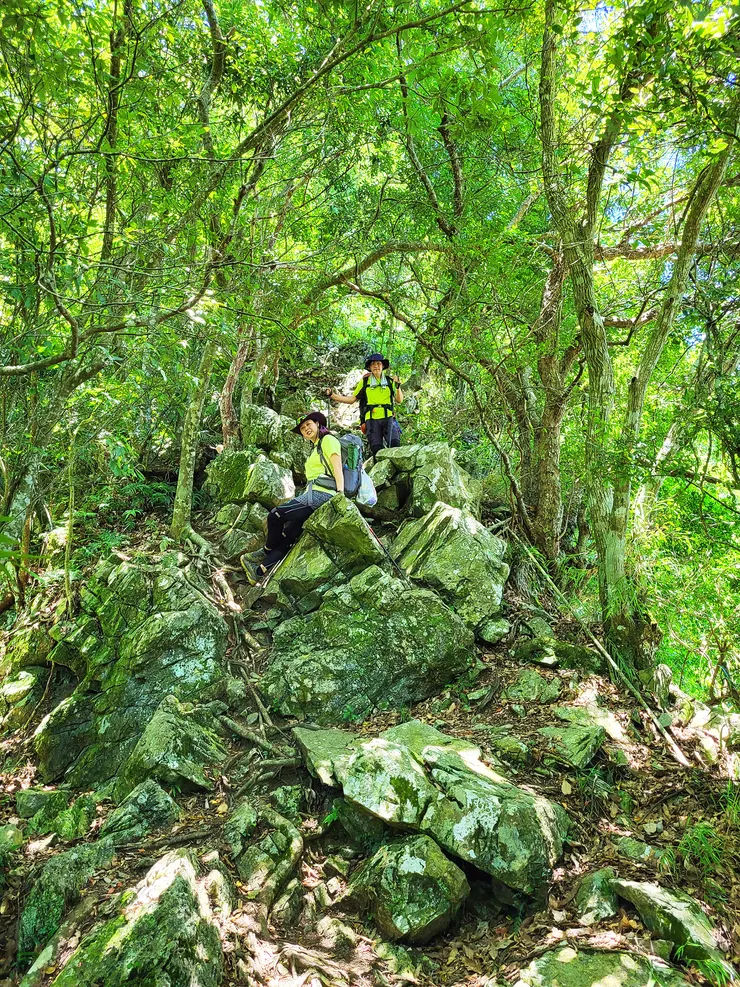 回程不走得卡倫步道，改走舊路恐龍背下山