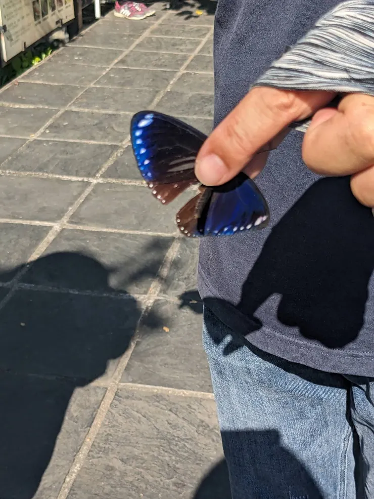 茂林國家公園導覽