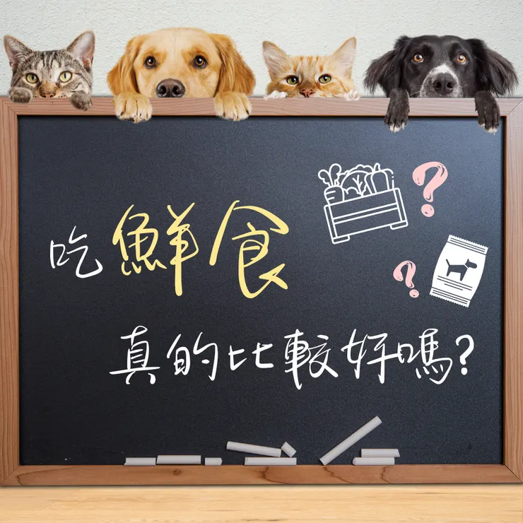 毛孩吃鮮食真的比較好嗎?