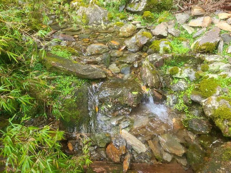 沿途都有水