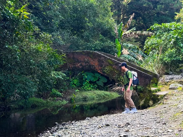 水泥橋下就是坪溪，因為護溪所以不能抓魚蝦