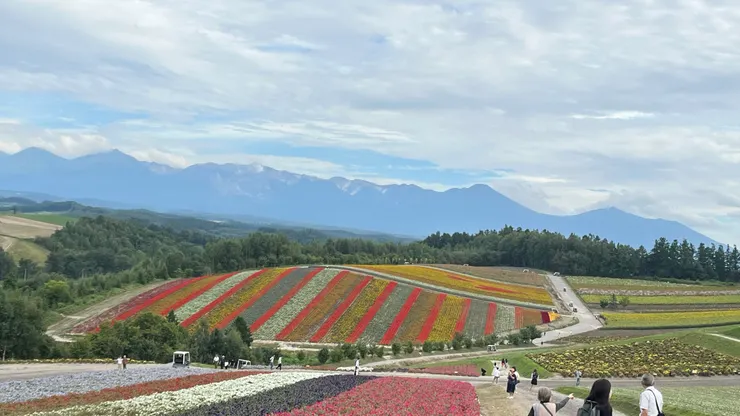 搭配後面山景，真的是美的很誇張。