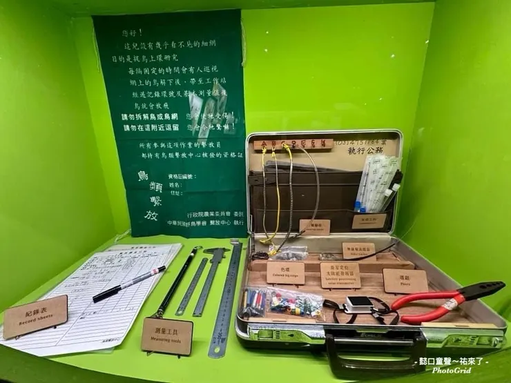 日常裡沒有機會看到的研究鳥類工具。