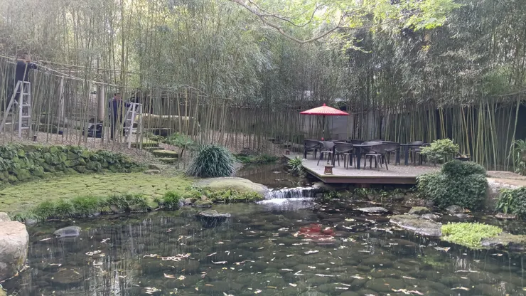 導覽人員帶我們走到下方的這片池塘,感受著這份恬靜