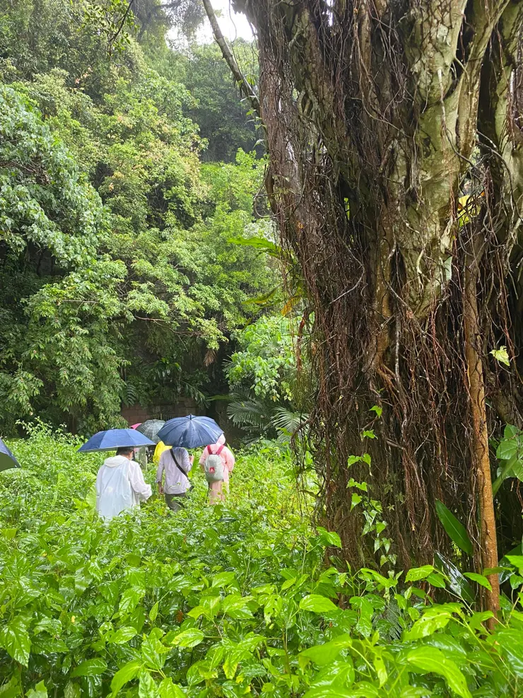 沿著小徑，走到山壁邊，就會遇到和美煤礦的礦坑口
