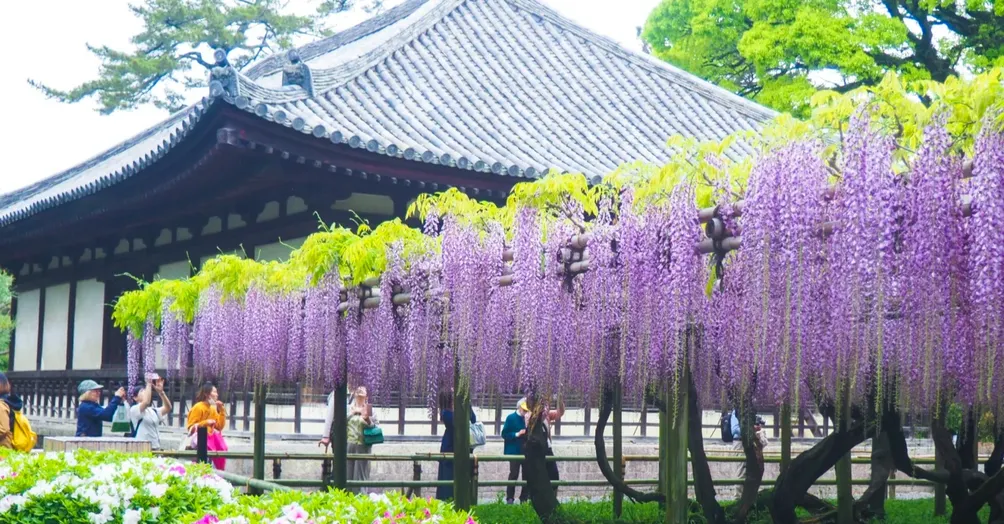 阿姨不老只是年紀大了點