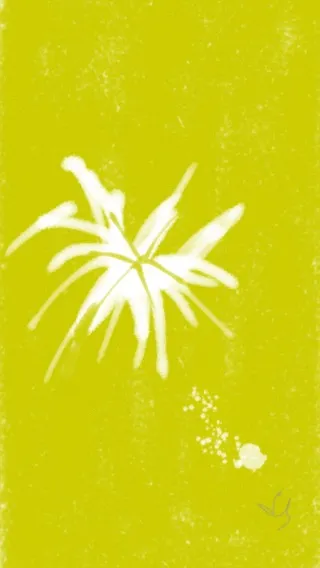 模糊印象中的薑花