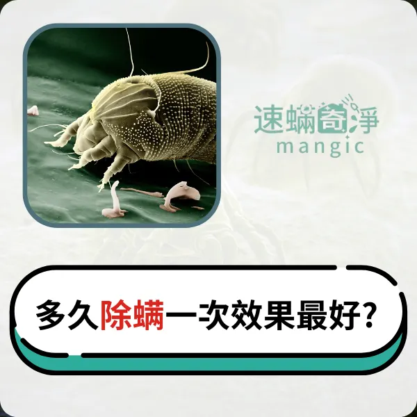 新北除螨推薦.台北除螨推薦.除塵螨推薦.速螨奇淨