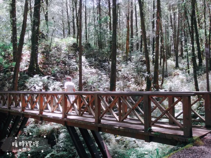米雅於塔山步道一景