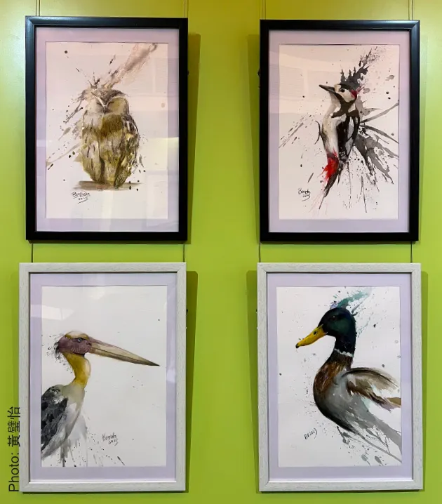 獨立展現一隻鳥兒的處理手法就有如人物肖像畫對畫中人的專注和尊重，也繪畫出雀鳥的神態和個性。