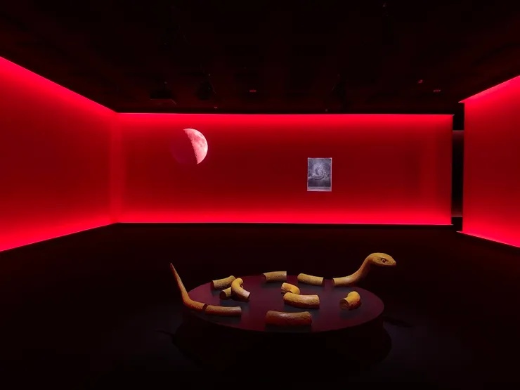 展覽空間中，那條分節的蛇靜靜盤踞在紅色舞台上，像一場結束的表演，亦像尚未終止的記憶。(攝於北美館)