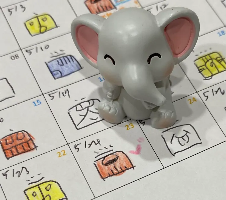 2025.5.24馬雅流日