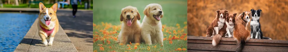 寵愛生活with Zoe的沙龍