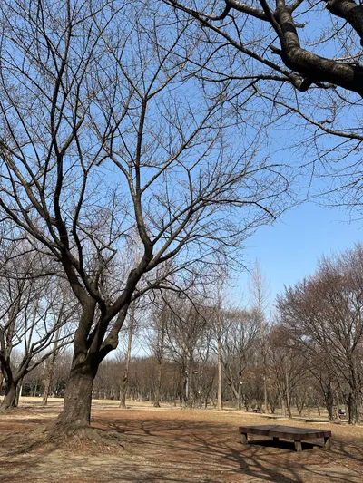 沒想到這輩子會愛上首爾