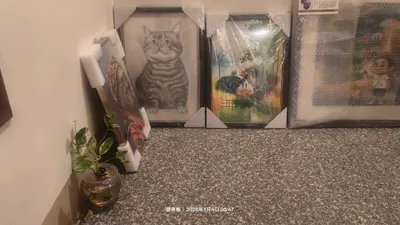 低點的心情。2026.115.03.05