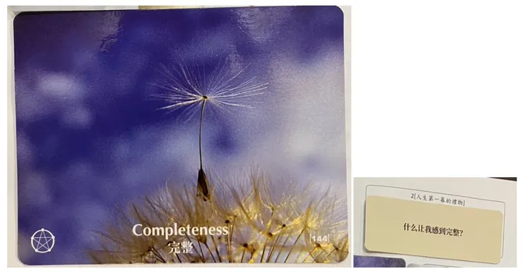 隱喻自由的蒲公英，我喜歡