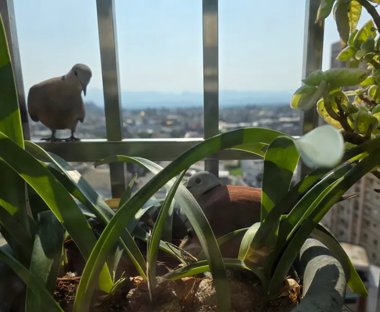 另一隻在監督 ? 🤣