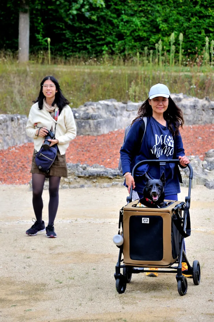 【毛孩如果是抱著或坐推車可以進去。怡青特地從台灣網購並託女兒不遠千里帶來的狗狗推車，就只用了這麼一次，因為牠的名字叫阿肥，不是阿瘦，推車空間太小了。