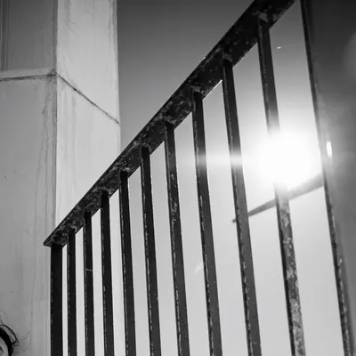 呢喃微光的沙龍