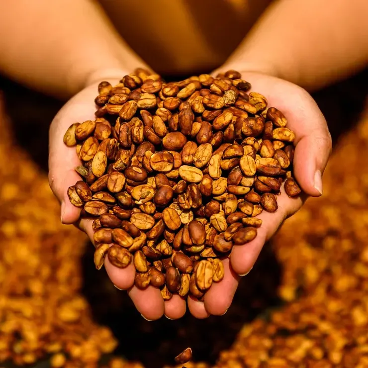 立即下單,讓這款優質咖啡帶給您無與倫比的愉悅感受!