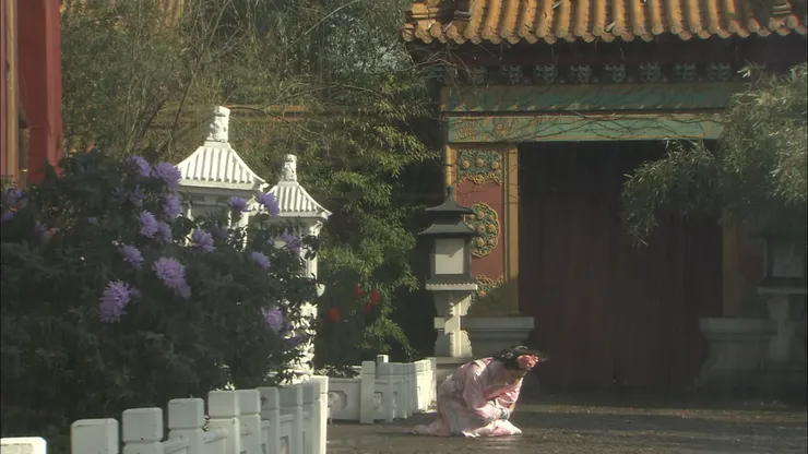 為了十三爺雨中下跪