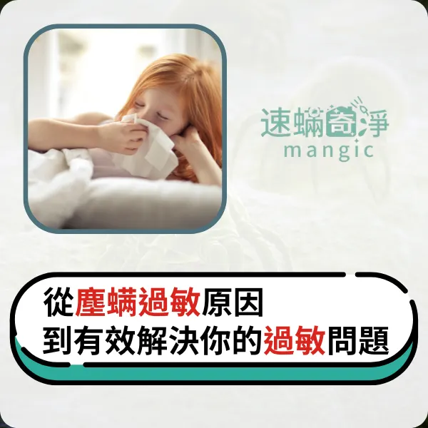 塵螨過敏.除塵螨.除塵螨推薦.除螨推薦