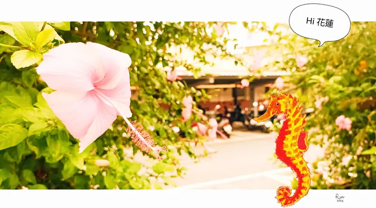 在花蓮慢活的海馬。Ms. Rio繪/拍攝，2018 & 2023