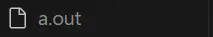 左邊出現 ./a.out 的預設檔名編譯檔案
