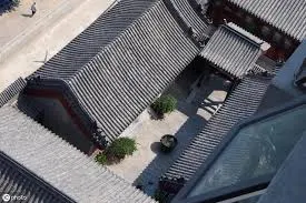 冬日裡的一方陽光,母子和貓