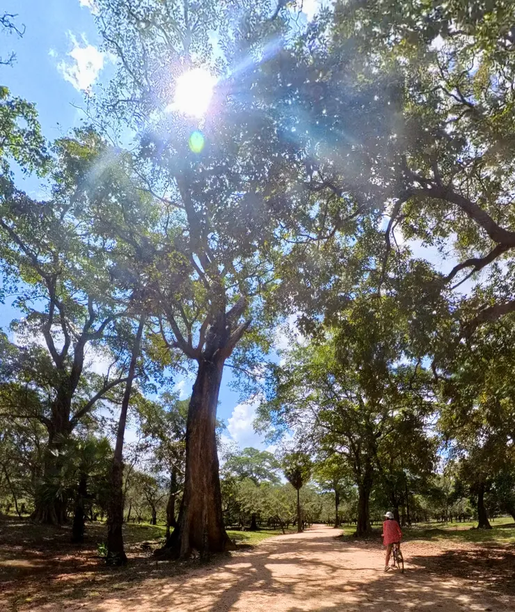 這是一個豔陽高照的下午