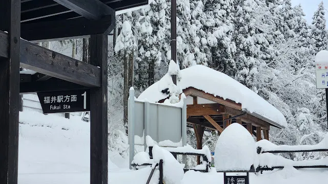 永平寺特急巴士的乘車位置
