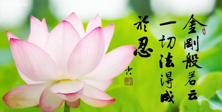 專心持念「阿彌陀佛」萬德洪名,期生淨土